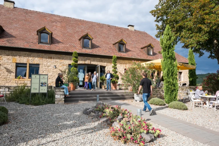 staatsweingut freiburg