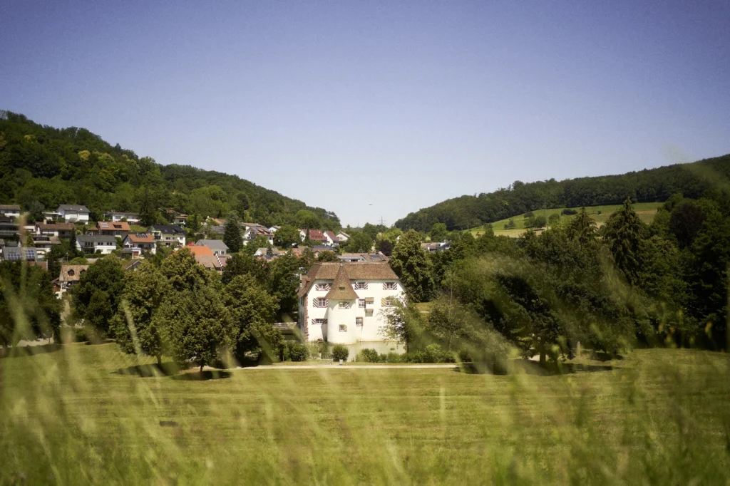 wasserschloss inzlingen