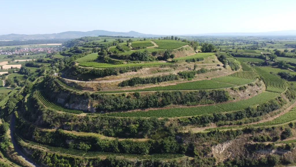 weingut clemens lang
