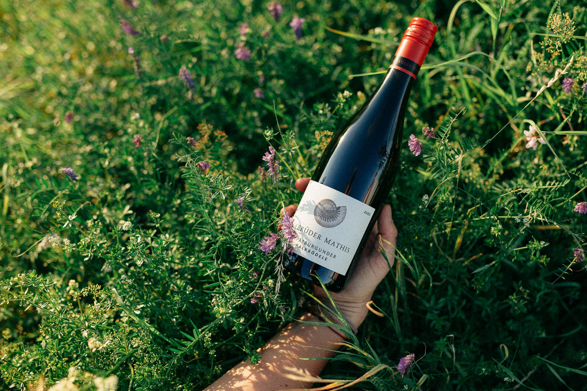 weingut gebrüder mathis »kalkbödele«