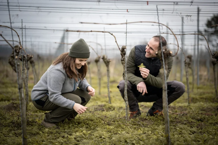 weingut lena flubacher