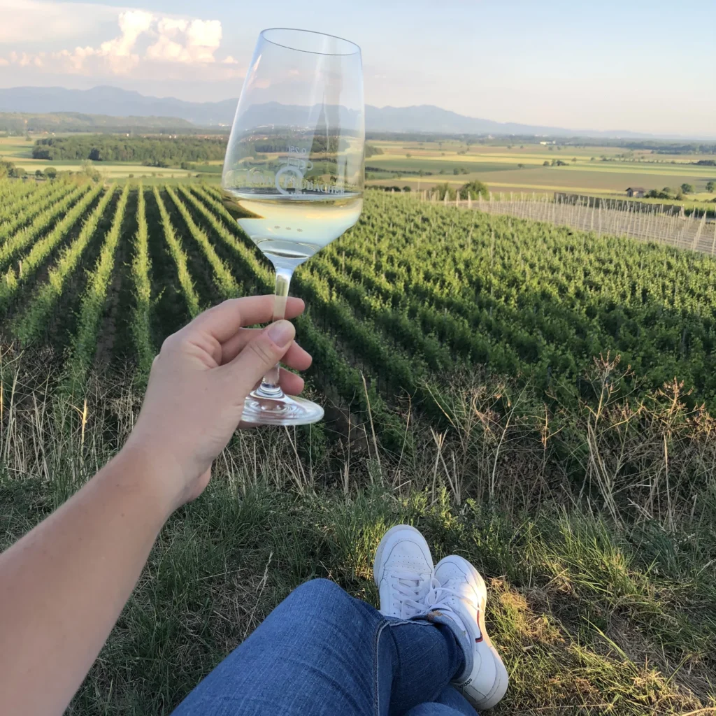 weingut lena flubacher