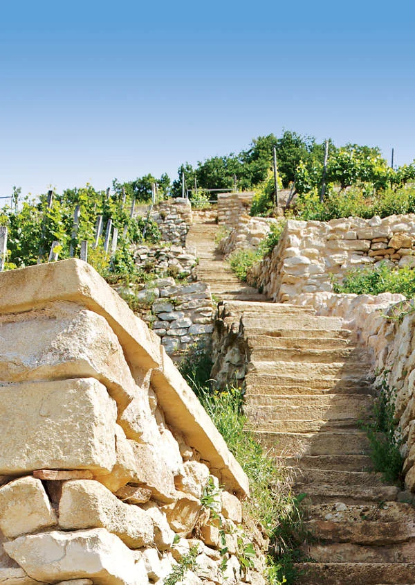 weingut martin waßmer