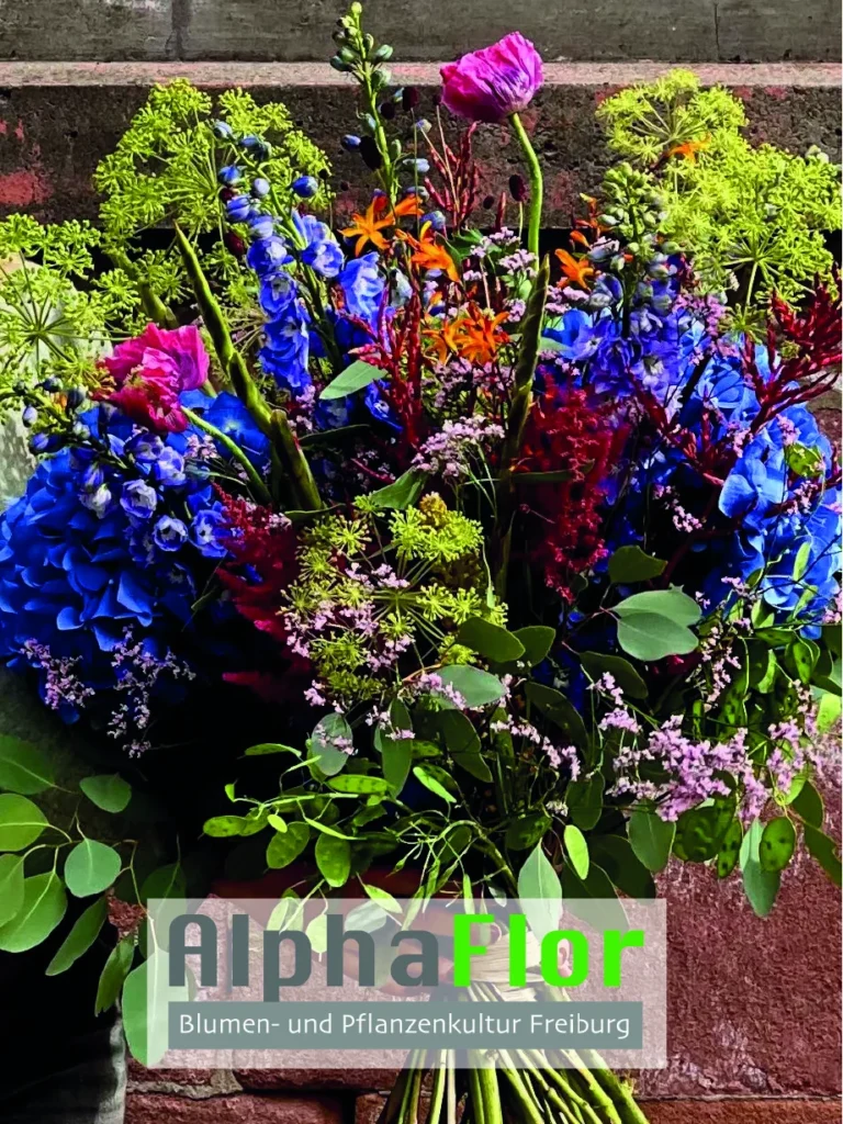 alphaflor blumen- und pflanzenkultur