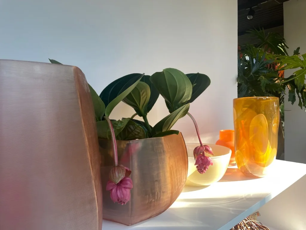 blumen pleuger