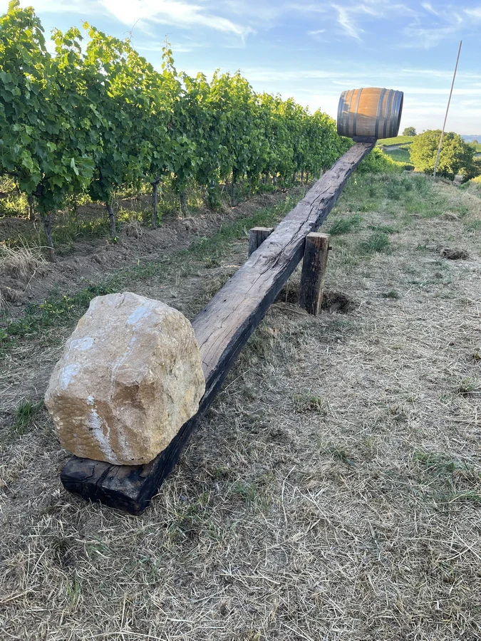 weingut simon